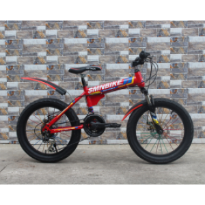 FS2051