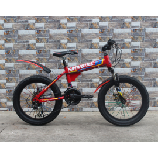 FS2051