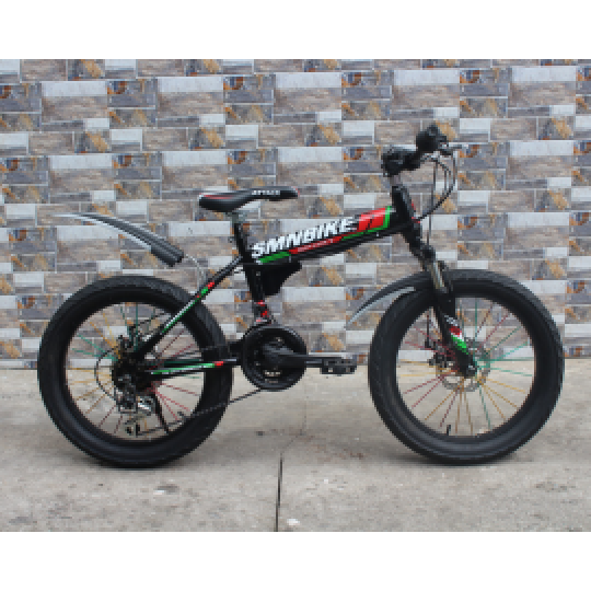 FS2051